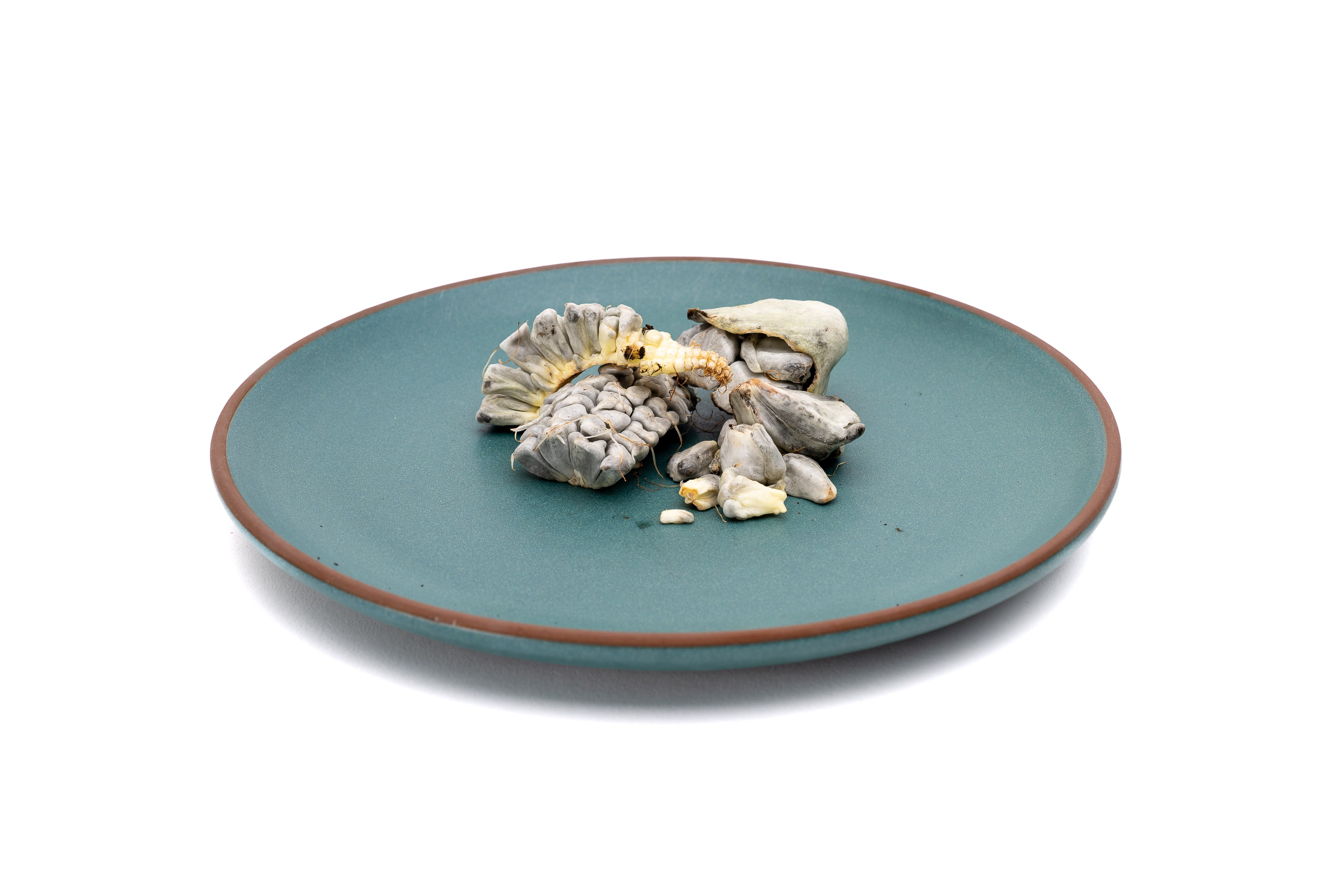 Farm Fresh Huitlacoche